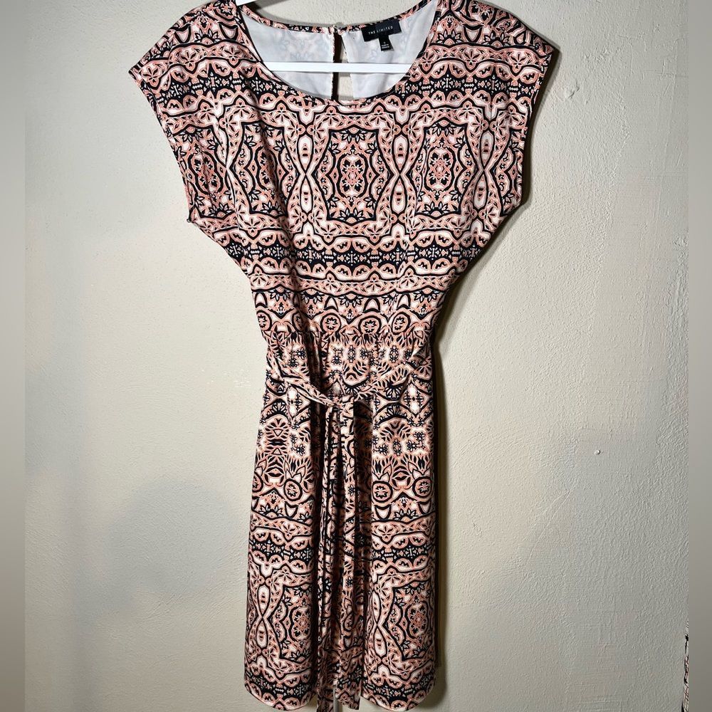 Pink and Black Dress Abstract Print Dress Lined With white The Limited Sz S